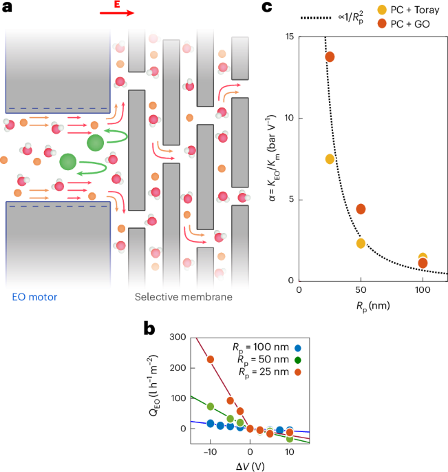 Harnessing nanofluidic rectification for electrically driven water purification