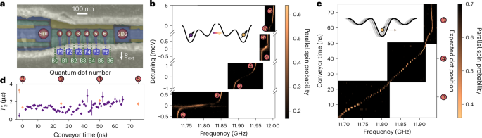High-fidelity single-spin shuttling in silicon