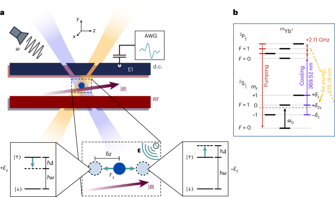Ultrasensitive single-ion electrometry in a magnetic field gradient