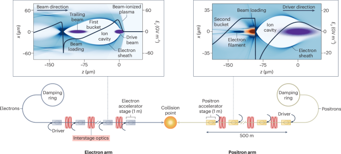 The positron arm of a plasma-based linear collider