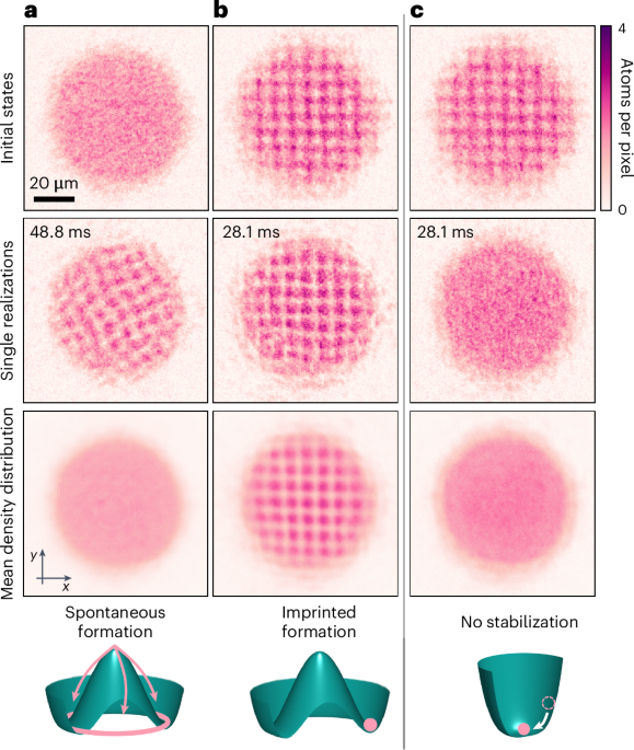 Supersolid-like sound modes in a driven quantum gas