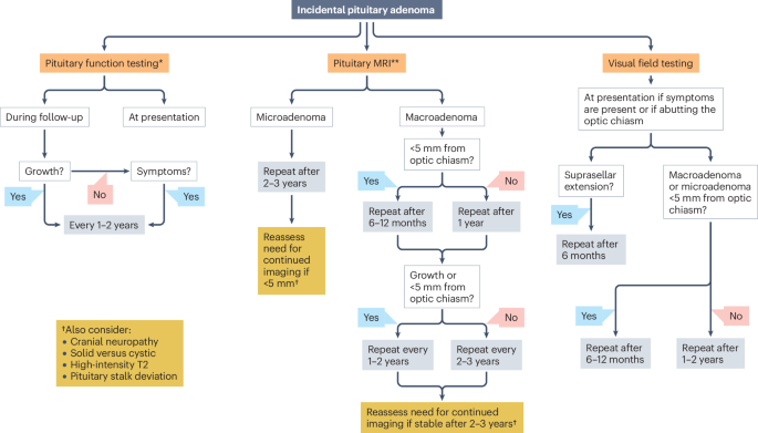 Pituitary incidentaloma: a Pituitary Society international consensus guideline statement