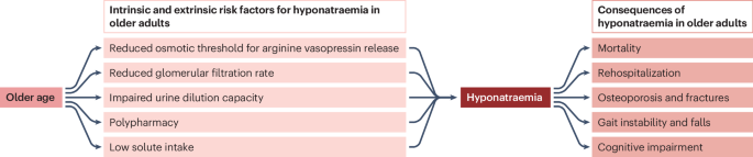 Hyponatraemia in ageing | Nature Reviews Endocrinology