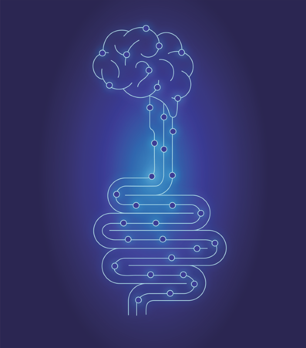 Gut microbiota-specific T cells induce neuroinflammation through molecular mimicry