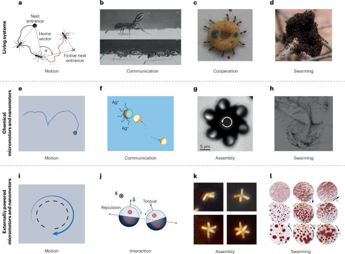 Swarming intelligence in self-propelled micromotors and nanomotors