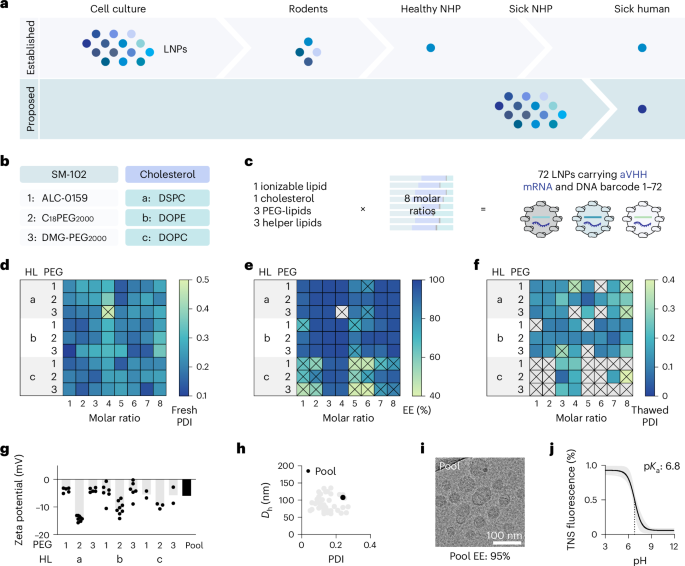 Lipid nanoparticle screening in nonhuman primates with minimal loss of life