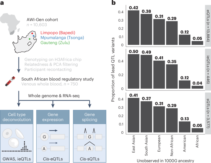 Empowering African GWAS with a map of blood regulatory variation