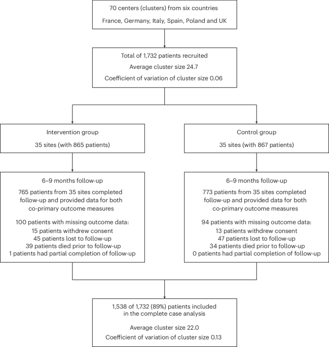 Education of healthcare professionals to improve guideline adherence in atrial fibrillation: the STEEER-AF cluster-randomized clinical trial