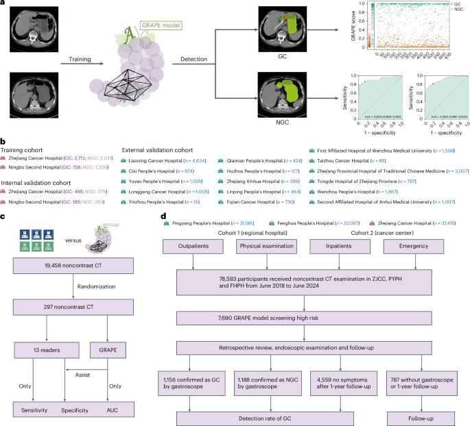 AI-based large-scale screening of gastric cancer from noncontrast CT imaging
