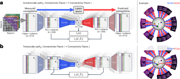 Krakencoder unifies diverse estimates of brain connectivity