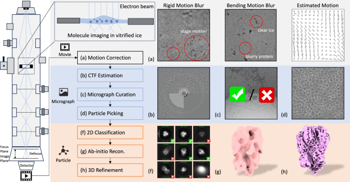 A large-scale curated and filterable dataset for cryo-EM foundation model pre-training