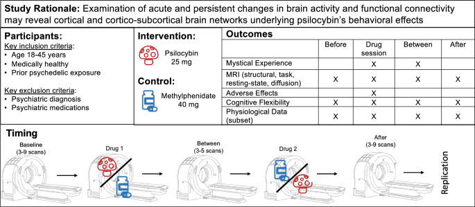 Psilocybin’s acute and persistent brain effects: a precision imaging drug trial