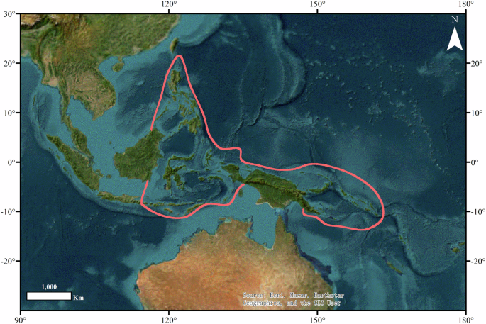 Comprehensive Dataset for Polychaetes in the IPC: Species Distribution, DNA Barcodes, and Functional Traits