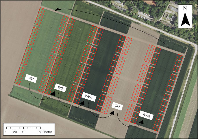 Two decades long-term field trial data on fertilization, tillage, and crop rotation focusing on soil microbes