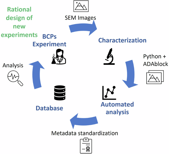 Enabling data-driven design of block copolymer self-assembly