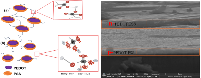 Solvent free spray coated n type PEDOT PSS thin film for high performance homojunction diode