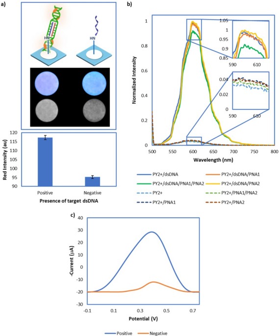 Fluorescent and electrochemical paper based dual sensor for simple and low cost detection of human papillomavirus DNA without denaturation