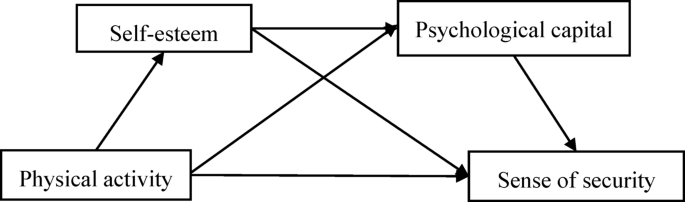 The relationship between physical activity and college students’ sense of security: the chain-mediated role of self-esteem and psychological capital