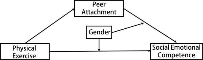 Associations between physical exercise and social-emotional competence in primary school children