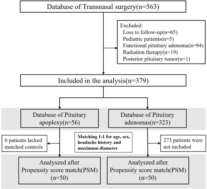 Long-term pituitary function following transsphenoidal surgery for non-functional pituitary neuroendocrine tumor with apoplexy: a single-center retrospective analysis