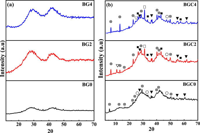 TiO2-doped borate glass and glass-ceramic: properties and prospects for biological and electrical applications