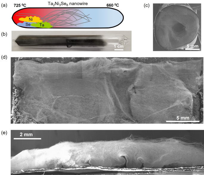 Scalable synthesis of millimeter-long single crystal Ta2Ni3Se8 Van der Waals nanowires