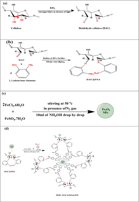 Concurrent photocatalytic degradation of organic pollutants using smart magnetically cellulose-based metal organic framework nanocomposite