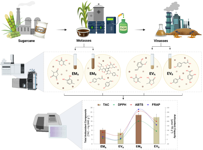 Study of two sugarcane by-products as source of secondary metabolites and heat-induced compounds with potential bioactive applications