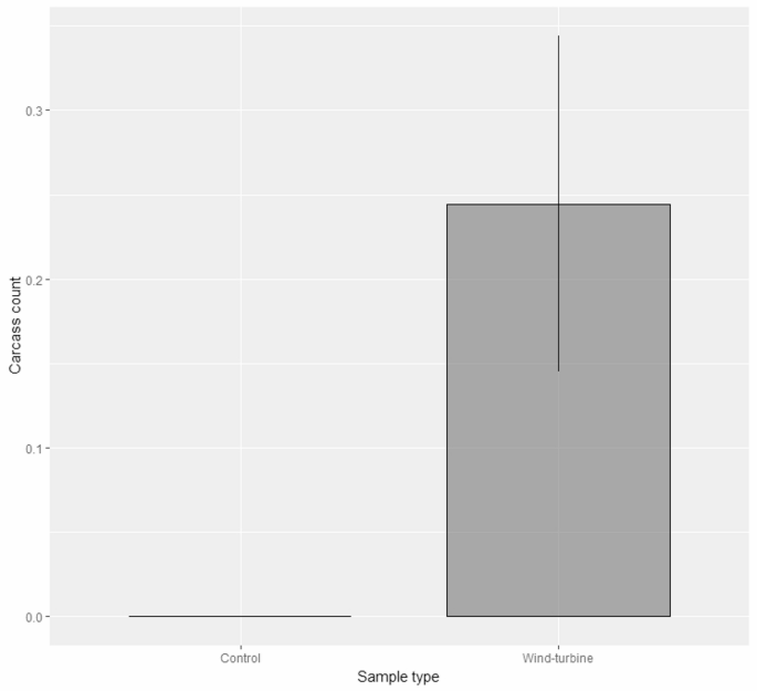 Bird mortality at wind farms in a tropical desert