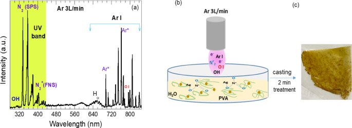 One step synthesis of Ag nanoparticles incorporated PVA nanocomposite via plasma reduction route