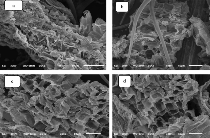 Novel mercerized Haloxylon salicornicum Sahara plants derived adsorbents for efficient removal of lead(II) from wastewater