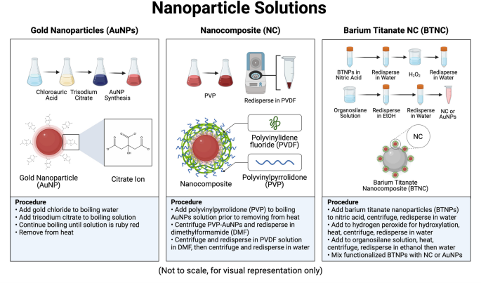 Toxicity analysis of gold nanoparticle formulations used for intraocular applications