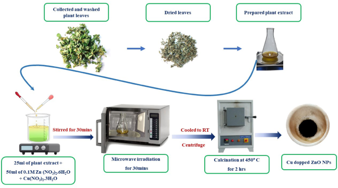 Integrating microwave-assisted green synthesis, DFT simulations, and biological activity evaluation of copper-doped zinc oxide nanoparticles