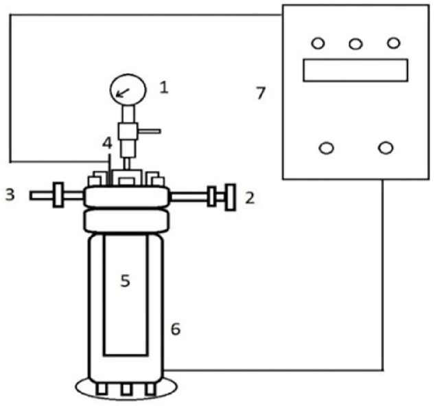 H2-free hydrodeoxygenation of microalgae biomass using Pd-Ni/γ-Al2O3 bimetallic nanocatalyst in the supercritical environment