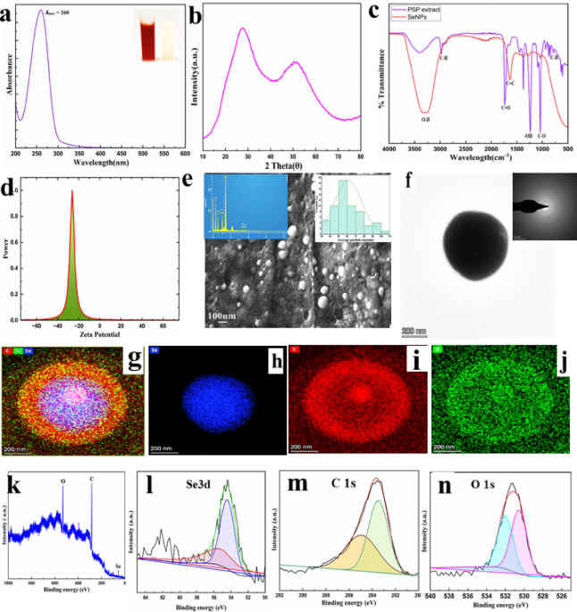 Anti-amyloidogenic properties of 5‑caffeoylquinic acid-capped selenium nanoparticles