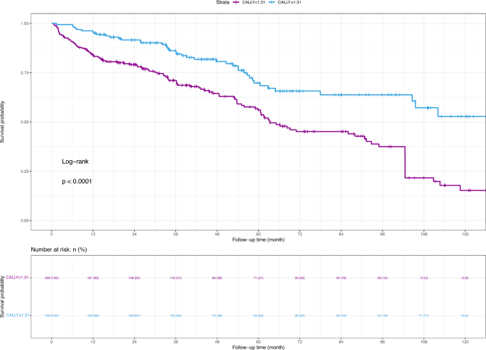 The CRP–albumin–lymphocyte index provides enhanced prognostic value in liver cancer compared to the TNM staging system