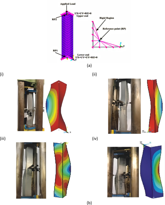 Investigation of cold formed steel angle compression through high throughput design FEA and machine learning