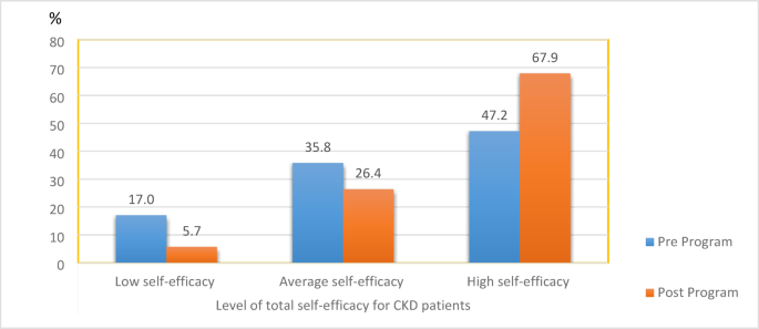 Impact of a psychoeducational nursing program on self-efficacy and psychological adjustment in hemodialysis patients
