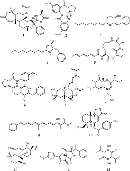 Cytotoxicity evaluation and metabolomic profiling of Spheciospongia vagabunda-associated fungi corroborated by in silico studies