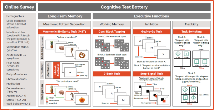 Insights on the neurocognitive mechanisms underlying hippocampus-dependent memory impairment in COVID-19