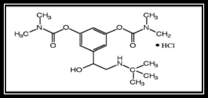 Extensive electronic investigation of BMBH structure and adsorption locator on graphene with molecular dynamics of human serum albumin interaction