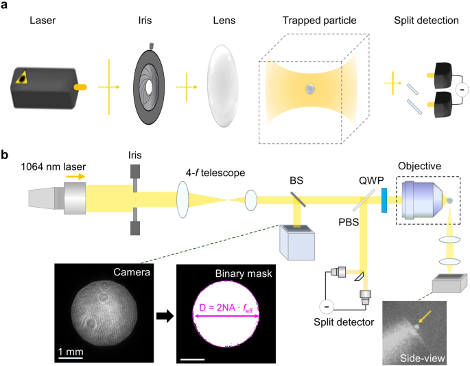 Modelling optomechanical responses in optical tweezers beyond paraxial limits