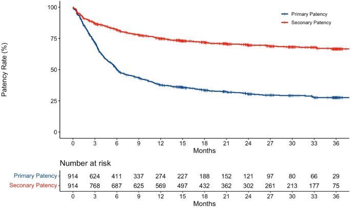 Predicting long-term patency of radiocephalic arteriovenous fistulas with machine learning and the PREDICT-AVF web app