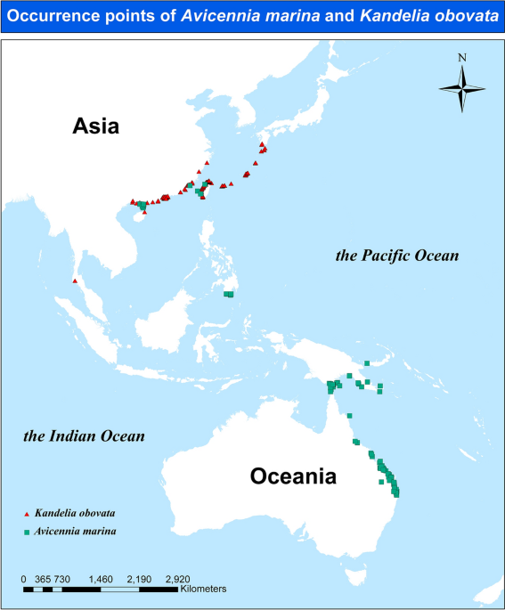 Global warming exacerbates the risk of habitat loss for regional mangrove species