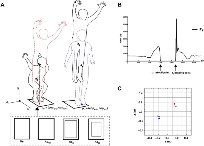 Speed and accuracy tradeoff in whole body movement during vertical jumps under varying landing constraints