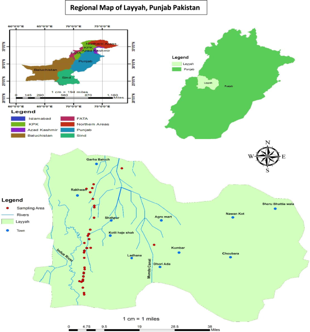 Detection of reproductive and hematobiochemical biomarkers to evaluate the impact of heavy metal exposure on brick kiln workers