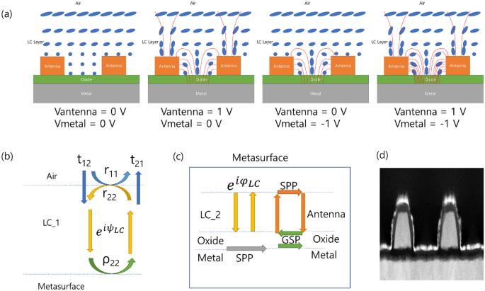 From blue to red color wavelength complex modulation characteristics of liquid crystal on a metasurface device