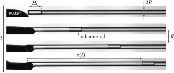 Spontaneous imbibition of water in capillary tubes that contain viscous silicone oils and gas bubbles