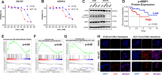 Volatilomic response to targeted cancer therapy in vitro