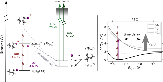 Wavelength-dependent photodissociation of iodomethylbutane | Scientific Reports